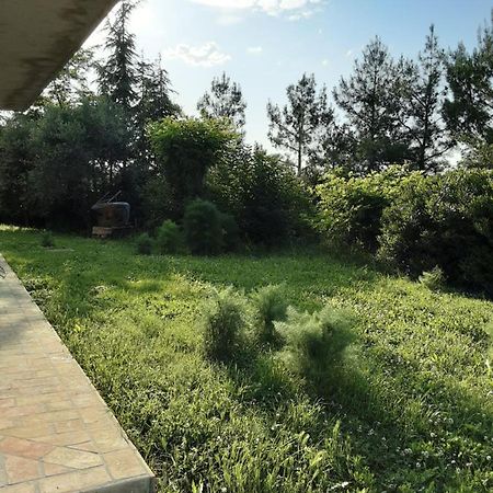 Fonte la Perna Villa Polverigi Bagian luar foto