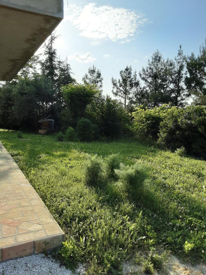 Fonte la Perna Villa Polverigi Bagian luar foto