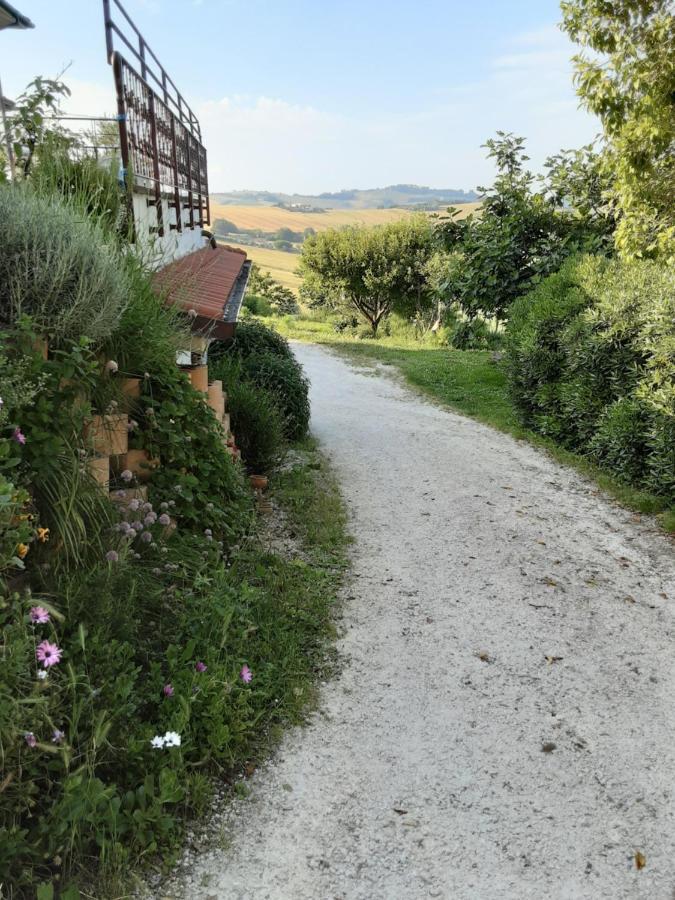 Fonte la Perna Villa Polverigi Bagian luar foto